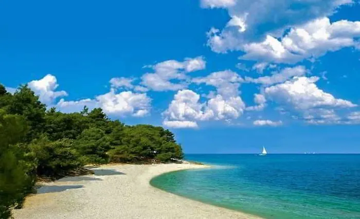 Gostinjska kuća Lav 3*